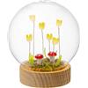 PALAIS ROYAL Sfera in Vetro con Fiori e LED 12cm Base in Legno
