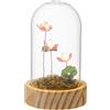 PALAIS ROYAL Cupola in Vetro con Fiori di Loto e LED 14cm Base in Legno