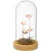 PALAIS ROYAL Cupola in Vetro con Fiori di Loto e LED 17cm Base in Legno