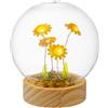PALAIS ROYAL Sfera in Vetro con Girasoli e LED 12cm Base in Legno