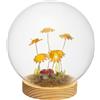 PALAIS ROYAL Sfera in Vetro con Girasoli e LED 15cm Base in Legno