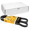 CONTITECH cinghia Poly-V 5PK1105