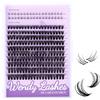 WENDY LASHES Ciglia Finte 40D con Ciglia Inferiori - Ciuffetti 10-16mm Curl D, Kit Extension Ciglia Naturale per Principianti, Effetto Wispy Morbido per Tutte le Occasioni(40D)