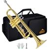EASTROCK Tromba Sib Standard in Ottone Strumenti Musicali Ugello 7C con Custodia per studenti principianti (Latone d'oro)
