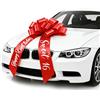 Crunier Fiocco regalo grande da 30 pollici, fiocco grande per auto, fiocco gigante per auto, fiocco per auto, fiocco in nastro per auto, per auto, bicicletta, regalo di Natale, matrimonio, festa, celebrazione
