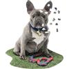 Madd Capp: I Am Frenchie - Puzzle da 550 pezzi - Puzzle a forma di cane, 25 x 30 dimensioni assemblate, poster di riferimento, libretto educativo divertente