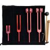 SODIAL FORCHIO STRACIA SET SET ALLUMINIO per STRUMENTO di PERCUSIONE MUSICALE GUAR3644