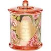 M&SENSE Candele Profumate alla Peonia per la Casa, Candela di Soia Organica 360g 75 Ore di Lunga Durata, Candele Aromaterapiche Rilassanti e Profumate, Regalo Estetico per Donne