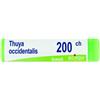 LABORATOIRES BOIRON S.R.L. Boiron Thuya Occidentalis 200 Ch Globuli