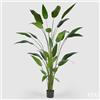 EDG Enzo De Gasperi Strelizia con Vaso x32 Pianta Artificiale H 215 Cm Verde