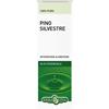 ERBA VITA GROUP SpA PINO SILV OLIO ESS 10ML ERBAVI