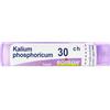 Kalium Phosph BOI BOIRON® Kalium Phosphoricum Granuli 30 Ch Contenitore Multidose 4 g