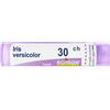 Iris Versic BOI BOIRON® Iris Versicolor (Boiron)*80 Granuli 30 Ch Contenitore Multidose 4 g