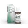 Heel Colocynthis Homaccord Gocce Orali 30 Ml Flacone Contagocce