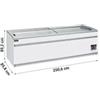 Congelatore a Pozzetto Professionale 1100, -12°C/-22°C, con Illuminazione Led e Porte Vetro Scorrevoli, Larghezza 250,6 cm