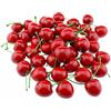YKKJ 100 Pezzi Artificiali Frutta，Ciliegie Artificiali Frutta，per Decorazioni per Feste, casa, Cucina, armadietto, Fotografia.