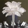 shekyeon 30 - 35 cm, Piume di Struzzo per Matrimoni e Decorazioni, Confezione da 10 Bianco