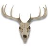 Things2Die4 Busto da parete a 10 punti con teschio di cervo