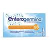 SANOFI SpA Enterogermina 4 Miliardi/5 Ml 10 Flaconcini