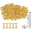 QUARKZMAN 200 Set Rivetti in Pelle 6mm x 8mm Elementi Fissaggio Borchie Rivetto a Doppio Cappuccio Metallo 3Pz Montaggio Chicago per Borse Pelle Riparazioni, Tono Oro