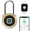 eLinkSmart Lucchetto lungo eLinkSmart, 45 mm, con impronte digitali, telefono app, resistente alle intemperie, serratura a combinazione senza chiave, per armadio, armadietto, esterno, tenda cantina, colore oro
