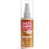Salt of the Earth Deodorante spray naturale ricaricabile, ingredienti 100% di origine naturale, vegano, protezione a lunga durata, adatto per donne, uomini e bambini, 100 ml (pan di zenzero speziato)