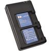 DSTE NP-FE1 Batteria (2 pacchetti) e caricatore rapido doppio compatibile per Sony DSC-T7 DSC-P2 DSC-P3 DSC-P5 DSC-P7 DSC-P9