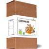 FORLIVE Srl Forlive Curcuma Bio 200g - Spezia Biologica in Polvere
