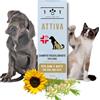 101 love for pet Shampoo Naturale e Vegetale con Ozono per Cani e Gatti, 250ml - con Azione Riequilibrante, Offre Protezione ed Elimina Gli odori - Funghicida e Battericida - Linea 101
