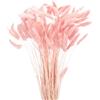 QUARKZMAN 120pz Coda di Coniglio Naturale Fiori Secchi 43cm Mini Erba di Pampa per Decorazioni Floreali Matrimonio Natale, Rosa Chiaro
