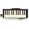 Hammond PRO-24B Tastiera Armonica Eleaco Basso Modello Nuovo