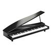 Korg Micro Mini Tastiera Pianoforte 61 Chiave Nero Giappone Con Tracciamento