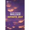 Einaudi Libro - Wallace David Foster - Infinite Jest - Einaudi