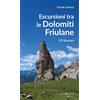 Editoriale Programma Libro - Zambon Davide - Escursioni Tra Le Dolomiti Friulane. 19 Itinerari - Edi