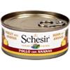 Schesir for dog with fruit (pollo e ananas) - 6 lattine da 150gr.