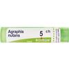 BOIRON Srl AGRAPHIS NUTANS*5CH 80GR 4G