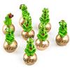 Logbuch-Verlag Set di 8 rane portafortuna su palline dorate - Capodanno decorazione buona fortuna figura 5 cm - Capodanno bomboniera decorazione 2026