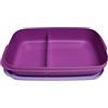 Tupperware to Go - Scatola porta pranzo intelligente da 590 ml, con separatore Eco+, contenitore per il pranzo scolastico con scomparto viola/viola, 590 ml