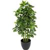 Flair Pianta artificiale in vaso in plastica Real Touch, pianta artificiale da interni, pianta decorativa, fiore di seta, pianta da ufficio, pianta di efflerapa, albero artificiale, 021109GN