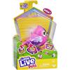 Little Live Pets Lil Candi Sweet 26030 - Confezione singola con Bird, testa mobile, oltre 20 rumori di uccelli, reagisce al tocco