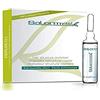 Salerm Vitalizzatore strutturale per capelli Vital 4 x 13 ml (antiumidità), unico, standard