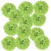 PATIKIL 20cm Pompon Carta Velina, 12Pz Fiori di Carta Pom Poms Decorativi Colorati per Matrimoni Addio Nubilato Compleanno Decorazioni Sfondo, Verde Chiaro