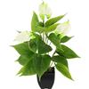 Flair Flower Anthurium artificiale pianta in vaso Anthurie Calla fiore esotico di fenicottero con fiori bianchi, pianta artificiale di fenicottero artificiale