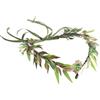Hoshisea Fascia per Capelli con Foglie, Corona Della Foresta, Corona da Elfo Verde Fatta A Mano, per Donne E Ragazze, Principessa, Rinascimentale, Halloween, Matrimonio（Verde）