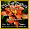 Dv More Audio Cd Nuovo - Momenti Musicali Vol 16 Invito Al Valzer / Various -I- Dv More