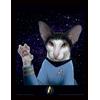 Pyramid Gadget - Star Trek: Pyramid - Cats - Spock Paw (Collector Print / Stampa in Corn