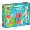 Clementoni Gadget - Clementoni Anatomia Scheletro E Organi - Clementoni