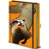 Pyramid Gadget - Harry Potter: Pyramid - Intricate Houses Hufflepuff A5 Premium Notebook