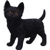Nemesis Now Gadget - Nemesis Now: Charmed Companion 20Cm - Nemesis Now