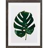 Komar Cornice portafoto in legno grigio pietra con poster Art Monstera Leaf come set - Dimensioni: 30 x 40 cm - Quadro da parete, decorazione pianta